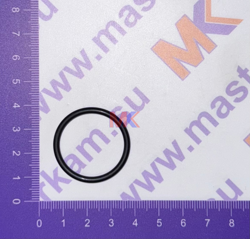 Кольцо 027-032-25 уплотн. стакана форсунки 650-1003114